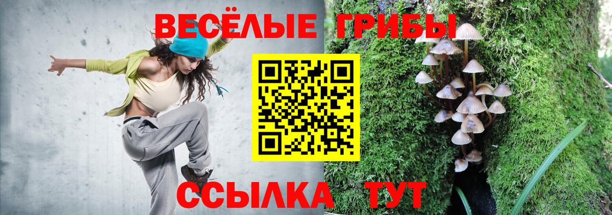 Галлюциногенные грибы Psilocybine cubensis Пенза